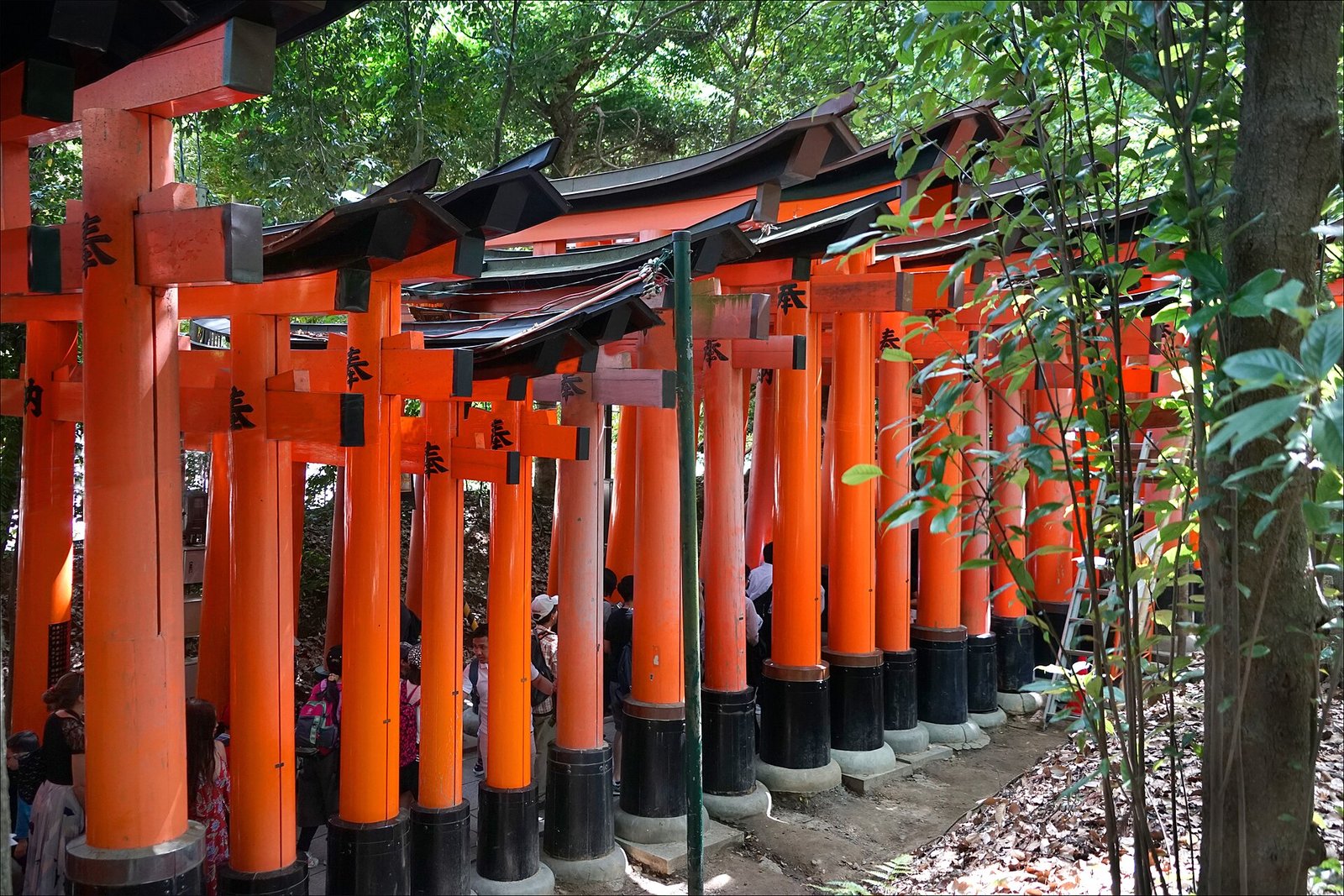 The Best Things to Do in Kyoto Without Rushing