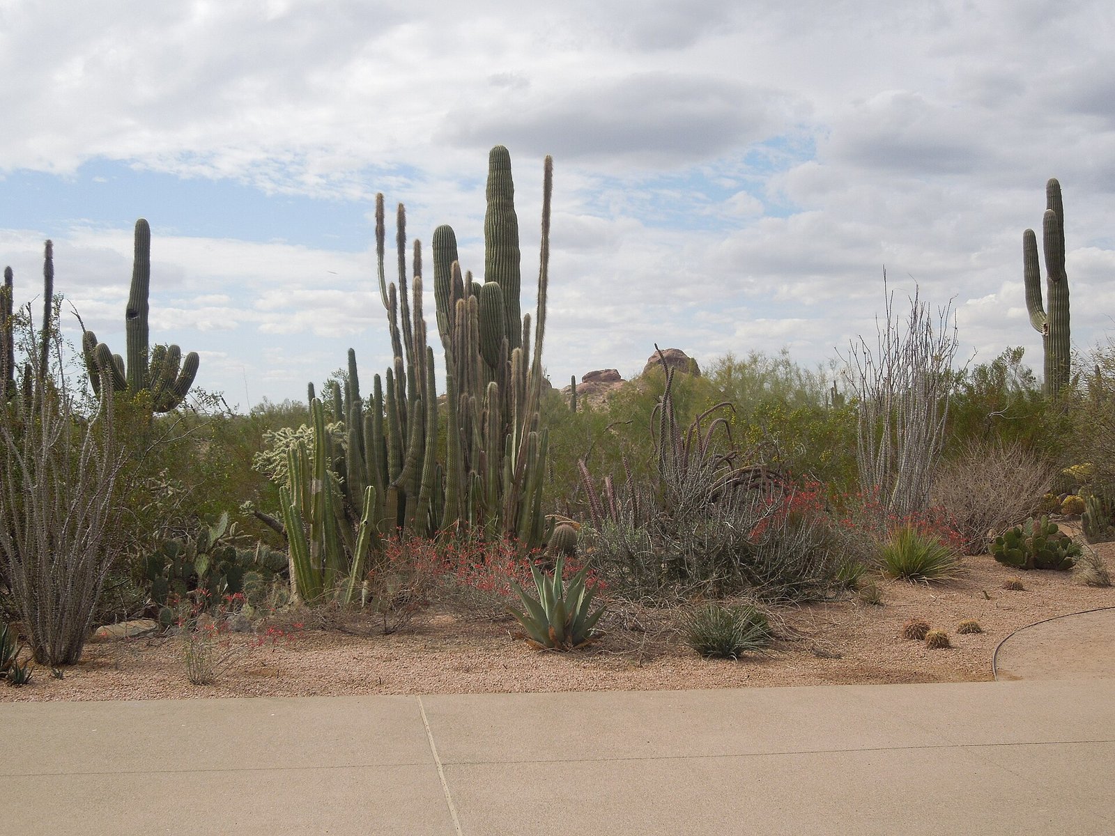 Where to Stay in Phoenix: Neighborhood Guide
